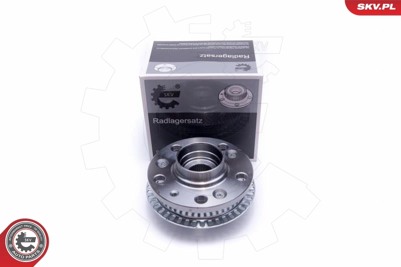 Wheel Bearing Kit